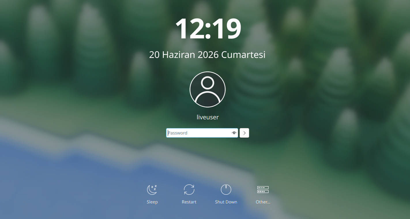 SDDM Giriş